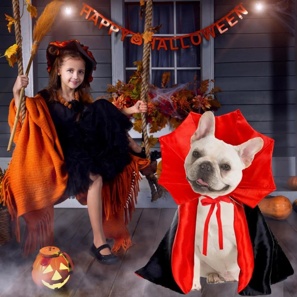 Medium Dog Halloween Costume – Vampire Cloak & Devil Outfit for Pets