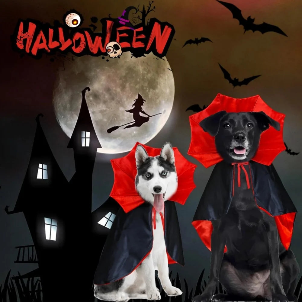 Medium Dog Halloween Costume – Vampire Cloak & Devil Outfit for Pets