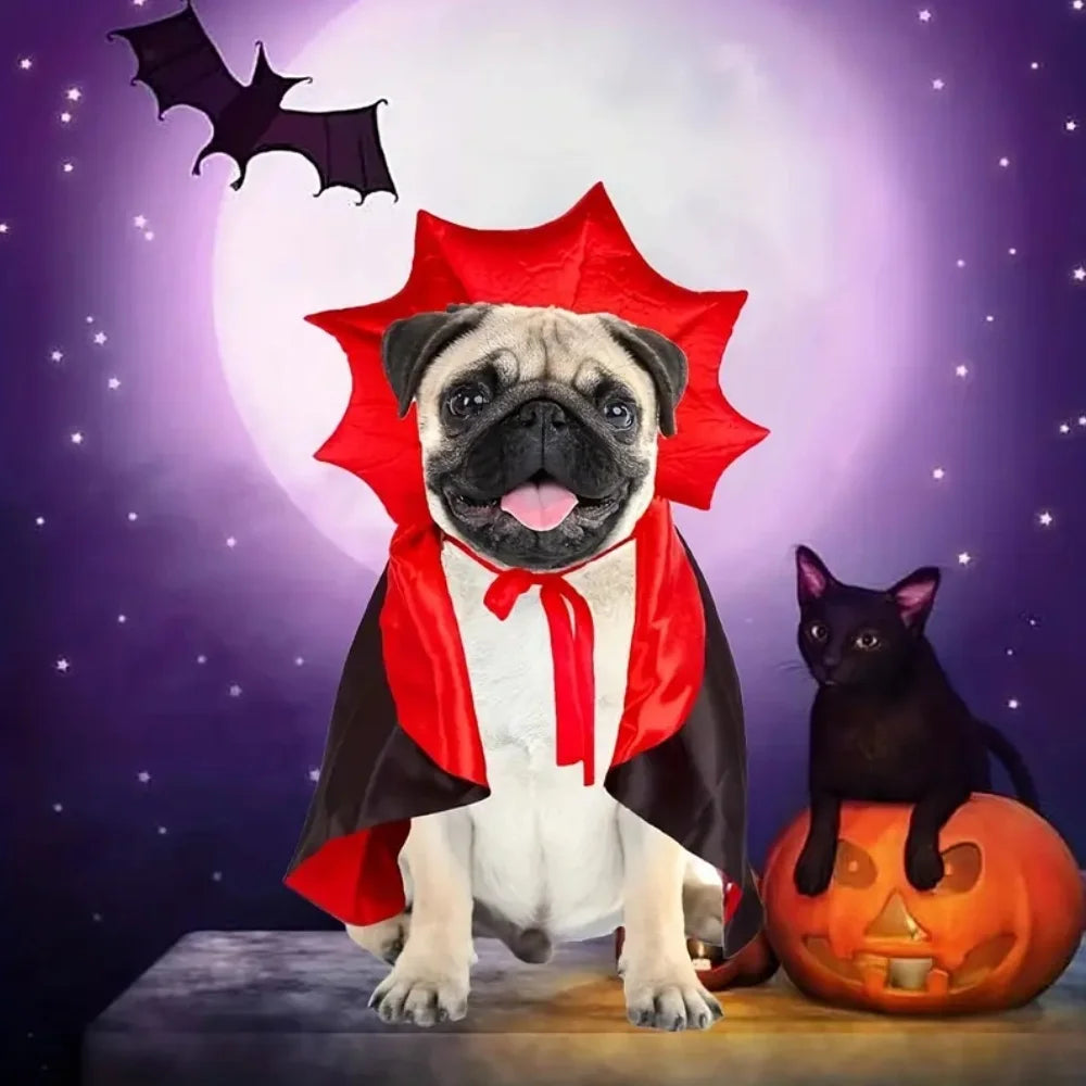 Medium Dog Halloween Costume – Vampire Cloak & Devil Outfit for Pets